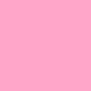 foto color Clavel rosa