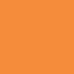 foto color Naranja caqui fuerte