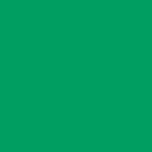 foto color Trébol verde