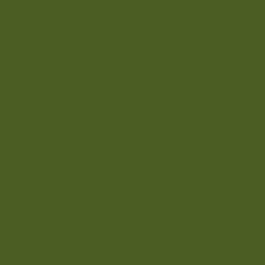 foto color Verde musgo oscuro