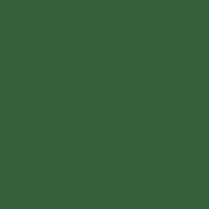 foto color Verde musgo profundo